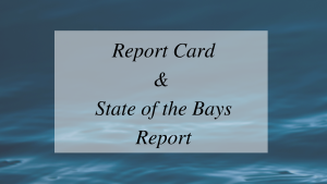 Sob Report Card Pop Up For Website