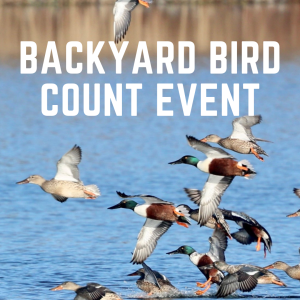 Backyard Bird Count Event