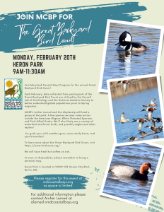 The Great Back Yard Bird Count