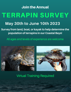 2023 Terrapin Survey Flyer