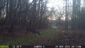 Moultrie Digital Game Camera