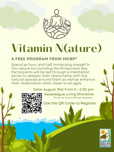 Nature Meditation Experience (3)