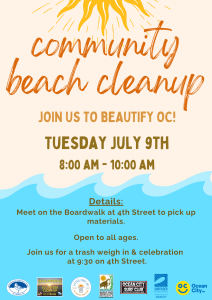 Beach Cleanup