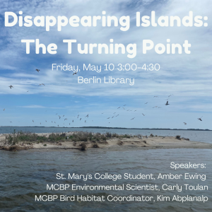 Disappearing Islands The Turning Point