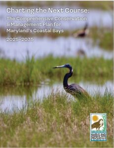 Ccmp Cover