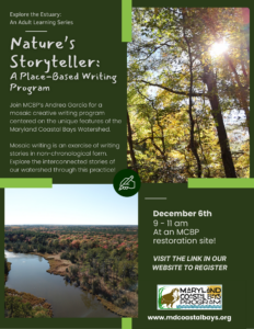 Writing In Nature