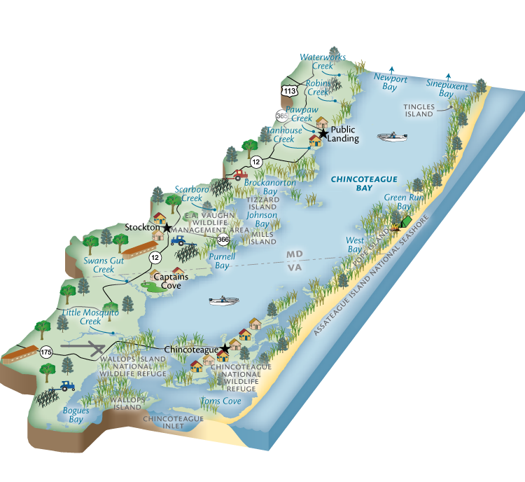 chincoteague-image
