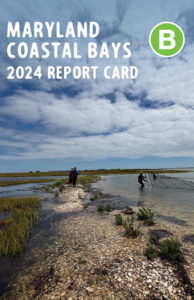 Screenshot 2025 12 11 081614