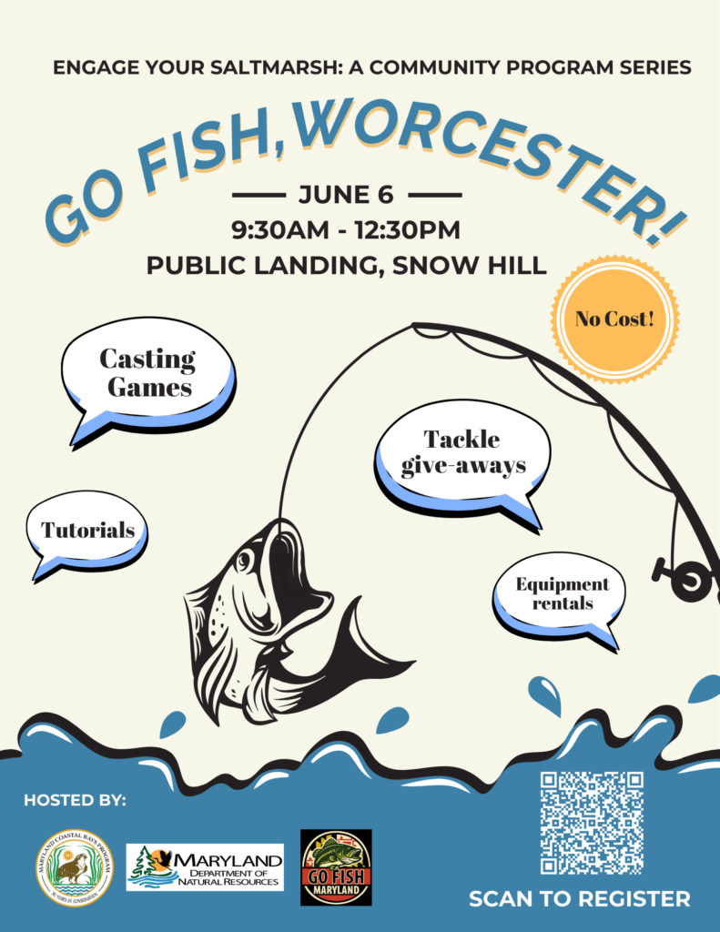 Go Fish Worcester!