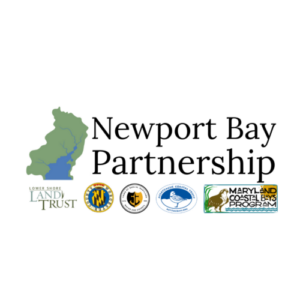 Newport Bay Partnership Logo With Partners