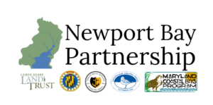 Newport Bay Partnership Logo With Partners