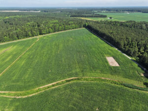 Queponco Farms (1) 01 13 26