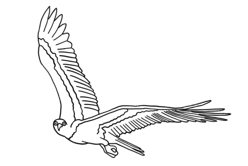 Osprey E1771594720549