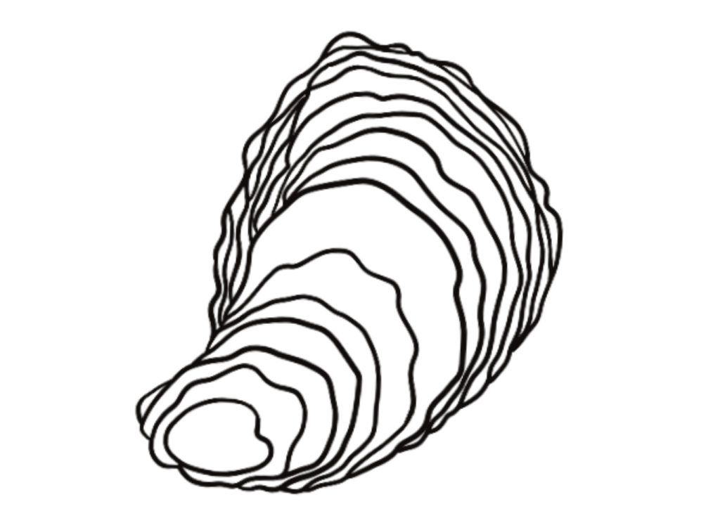 Oyster E1771594867794