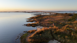 Shoreline