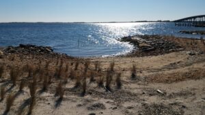 Shoreline