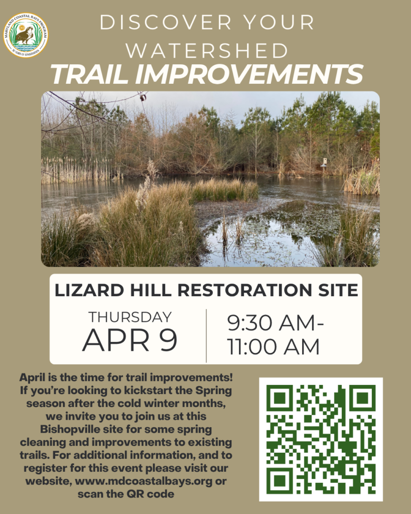 Discover Your Watershed