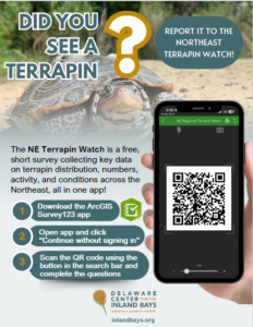 Terrapin Watch